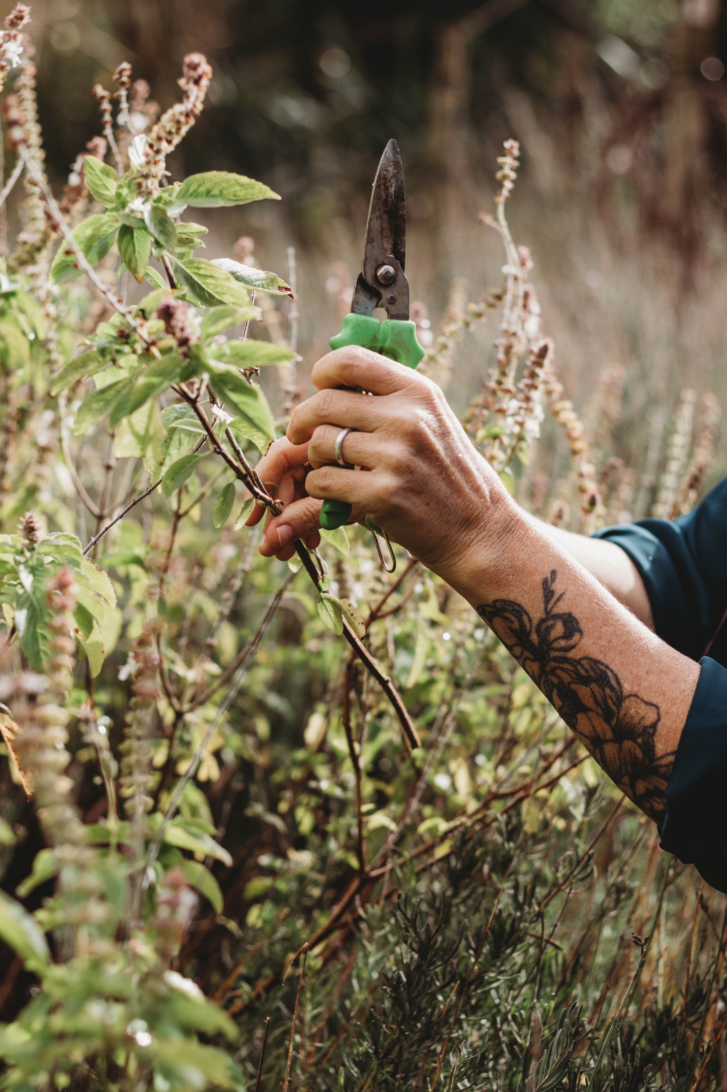 Forage With Flourish Workshop