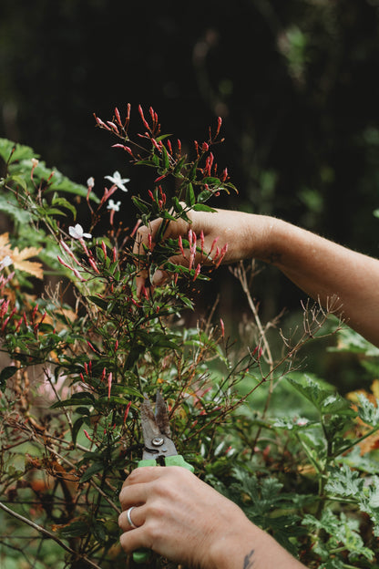 Make Your Own Handtied Bouquet