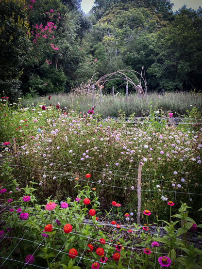 Pick A Summer Posy