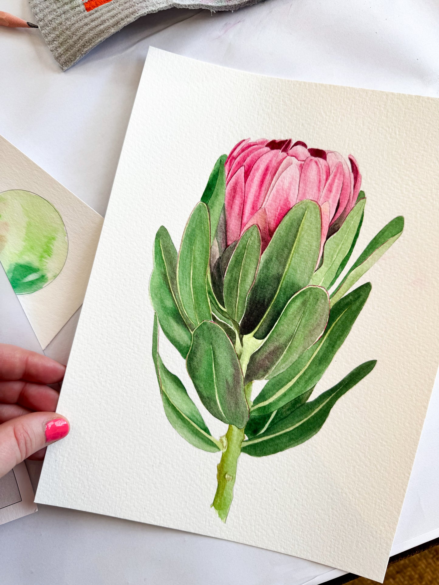 Flourish & Bloom: Beginner Protea Workshop with Candice Christie