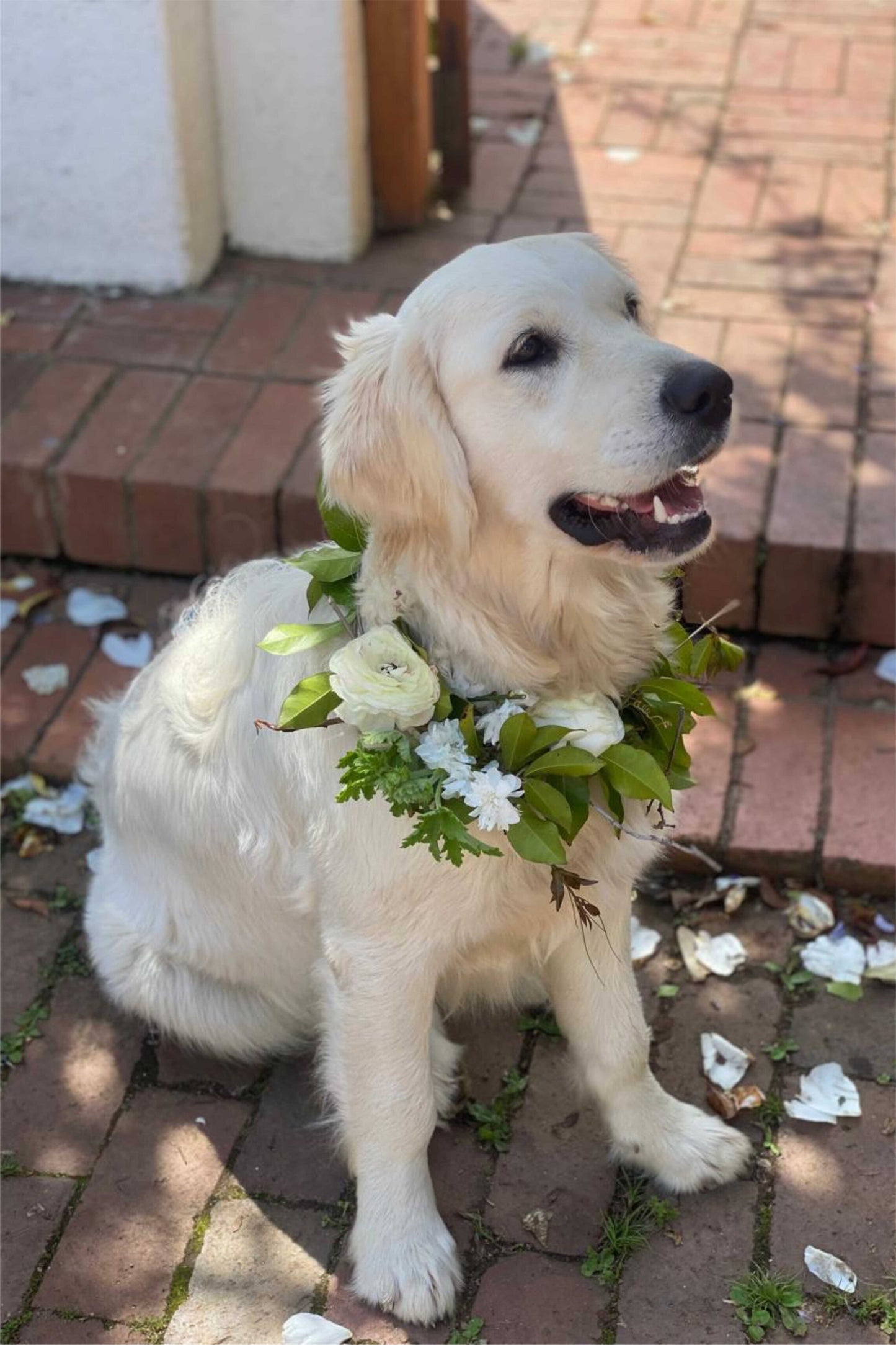 Flower Crown Workshop